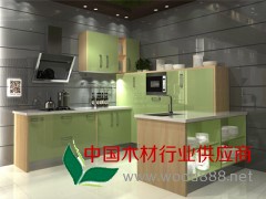 精品 整體廚房廚柜定制 精心制造