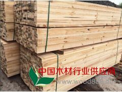 批發樟子松方料