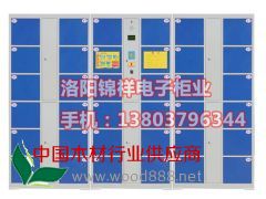 陜西電子儲(chǔ)物柜供貨商|12門24門36門條形碼柜批發(fā)市場(chǎng)