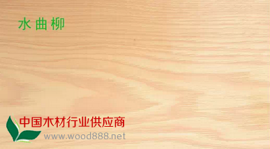 QQ圖片20150112192111