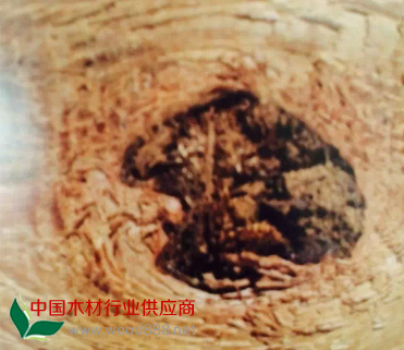 QQ圖片20150112200239