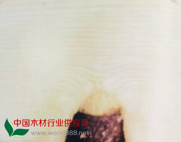 QQ圖片20150112200651