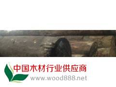 低價供應緬甸金絲楠木原木
