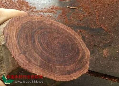 <a href='/cultureDetailed-15141.htm' style='color:#4A9C42;' target='_blank'>海南黃花梨</a>