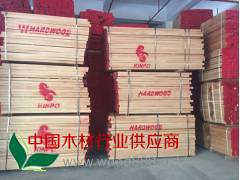 AB級(jí)歐洲進(jìn)口櫸木長(zhǎng)料1.7-2.0M