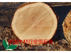 白橡原木 防腐木 批發(fā)零售 進(jìn)口木材  嘉善和興木業(yè)