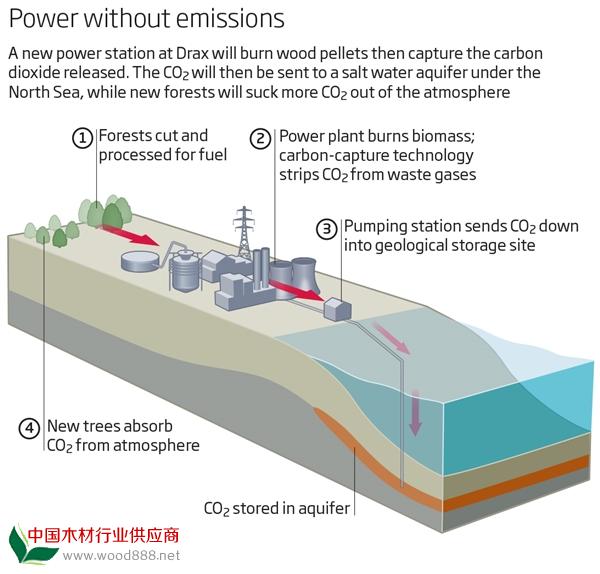英國火電廠棄用煤炭 改燒木材實現(xiàn)負排放