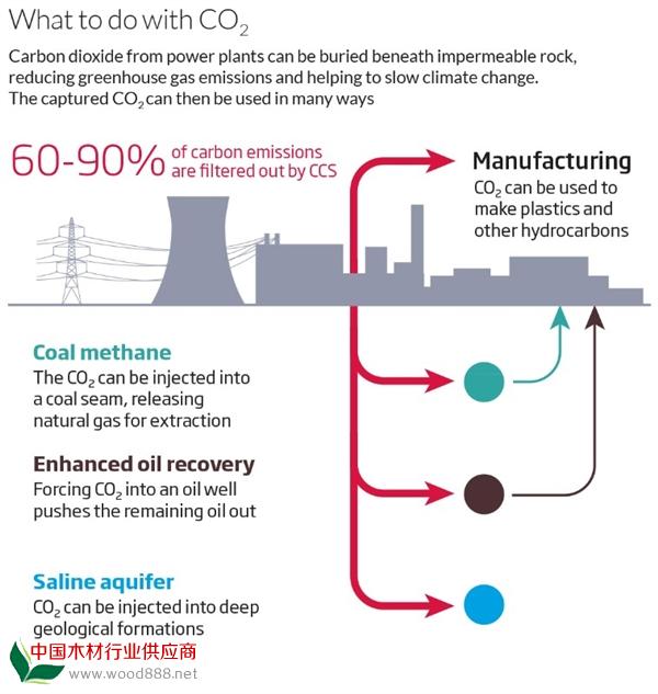 英國火電廠棄用煤炭 改燒木材實現(xiàn)負排放