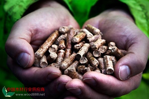 英國火電廠棄用煤炭 改燒木材實現(xiàn)負排放