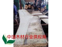 個(gè)性家具首選
