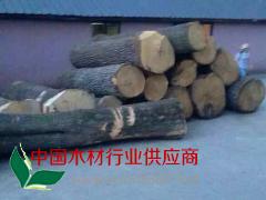 歐洲白臘原木