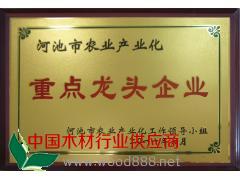 重點龍頭企業