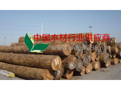 優(yōu)質(zhì)鐵杉原木批發(fā)