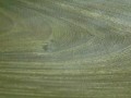 廣州市駿祈建材有限公司