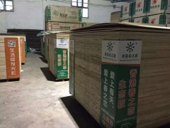 優質多層批發