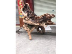 崖柏原材料批發(fā)