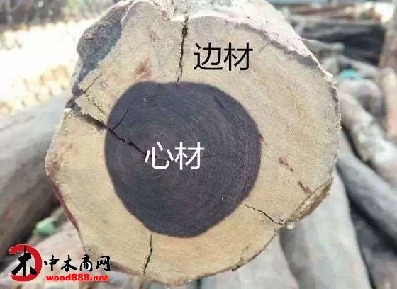 紅木國(guó)標(biāo)解讀：邊材部分不屬于紅木