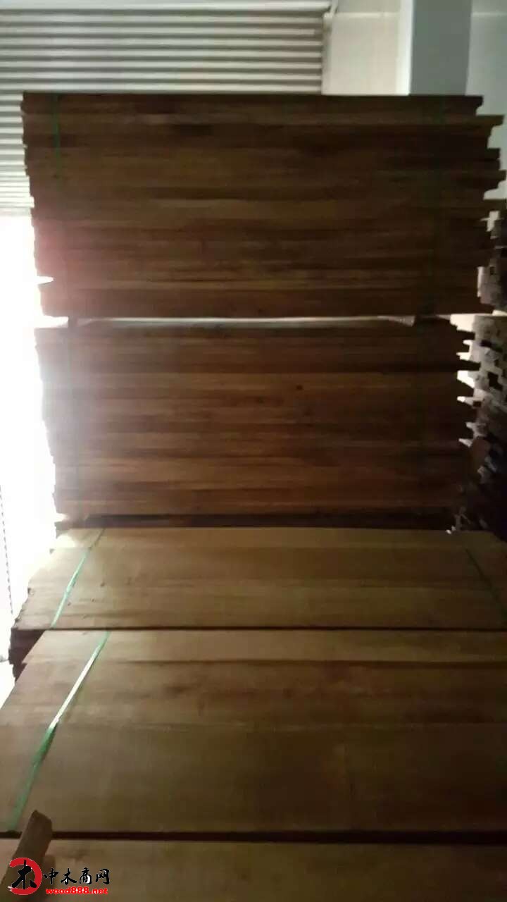 緬甸金絲柚