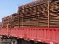 上海宇興木業(yè)有限公司-產品圖片