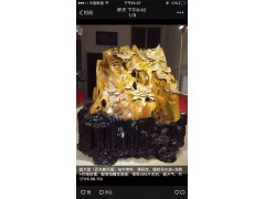 枯木老料（百鳥朝鳳圖）
