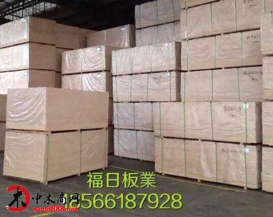 廣西木材資源豐富 膠合板出口實現穩增長