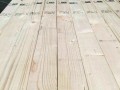 青島森普科貿木業-產品圖片