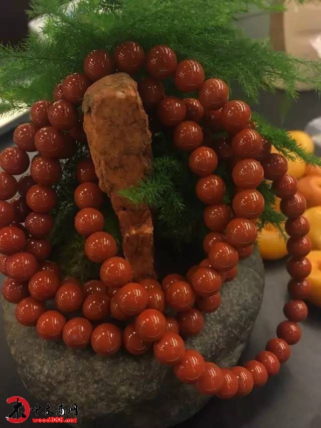 中木商網(wǎng)