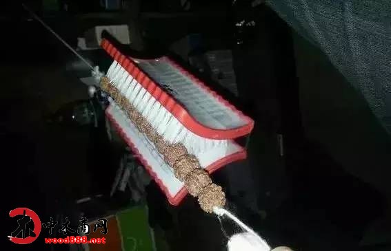 中木商網(wǎng)