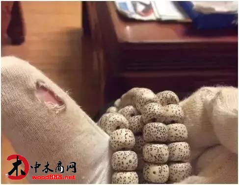 中木商網(wǎng)