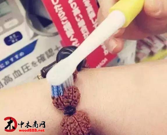 中木商網(wǎng)