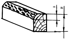 p007.jpg (17288 字節)