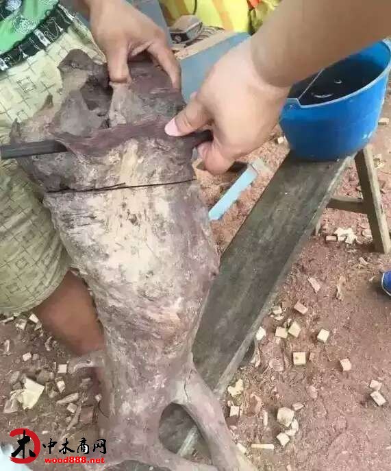 中木商網