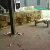 厚芯法國楊長中板_中板批發