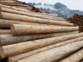 南寧市祥厚建材經營部-產品圖片
