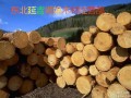 東北延吉媚娘木材經營部—產品圖片