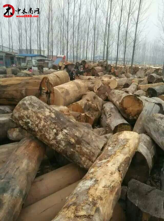 冰糖果