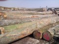 東莞厚街名象木業有限公司-產品圖片