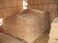 精品 樺木單板 旋切木皮 價格優(yōu)惠  歡迎定制