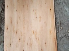 一手貨源 自產自銷桉木中板和三級板 質量穩定