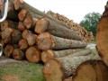 圣獅（廈門）建材有限公司—產品圖片