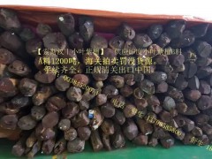 印度小葉紫檀1200噸，可正規報關到內地，可挑選