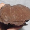 一手貨源 紅椿 杉木 刺楸 白青岡木 大量供應 質量保證