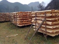 廠家直銷 楊木單板一級二級三級 量大從優