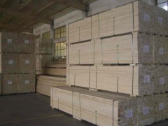 家具 建筑 楊木單板 首選用料