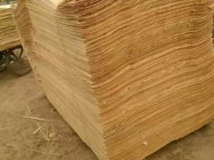 廠家直銷4x8尺楊木原色木皮 厚度50絲，65絲，80絲