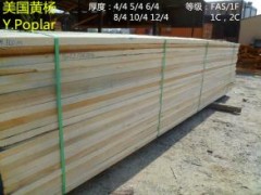 廠家直銷 黃楊木 紅橡 質優價廉