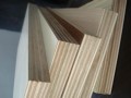 廣西壯象木業(yè)有限公司—產(chǎn)品圖片