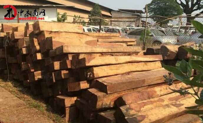 老撾香花梨地板料