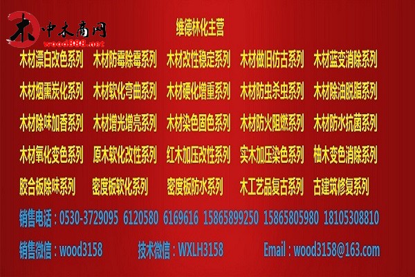 維德林化主營