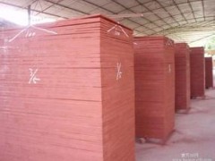建筑模板 大量批發 本松 楊木 12~1.7厚 廠家直銷
